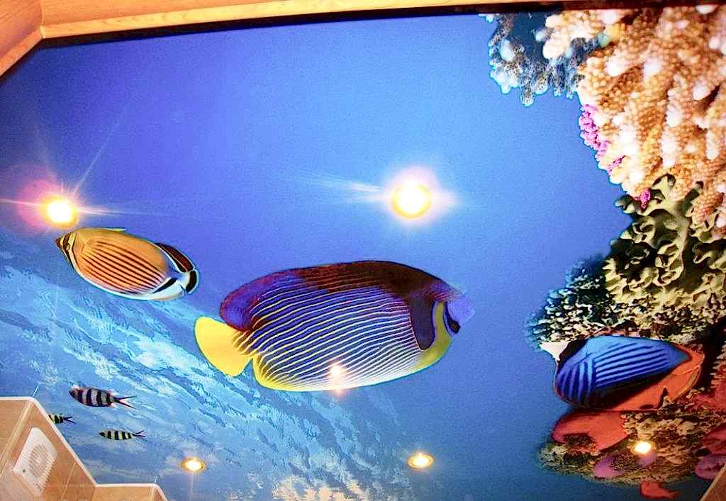 натяжной потолок