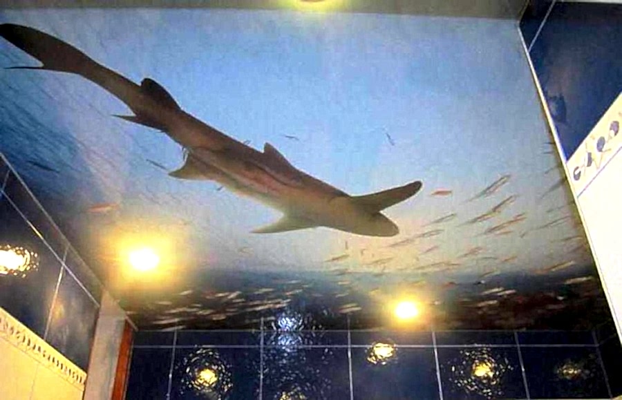 натяжной потолок в ванной комнате фото 6