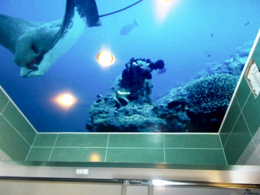 потолок в ванной комнате с фотопечатью фото 3